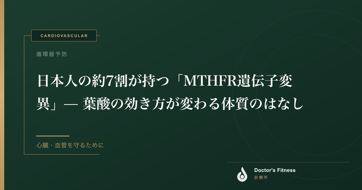 日本人の約7割が持つ「MTHFR遺伝子変異」— 葉酸の効き方が変わる体質のはなし