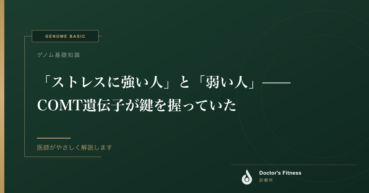 「ストレスに強い人」と「弱い人」——COMT遺伝子が鍵を握っていた